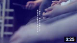 セーラー服とブルーシート